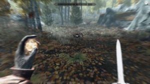 Overhauling Skyrim into Elder Scrolls 6 with MODS