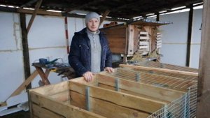 Перекрыли крышу крольчатника, кролики🐰утки🦆куры🐔цесарки