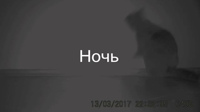 Фотоловушка Acorn Ltl-6210MG - (ОБЗОР) смотреть онлайн