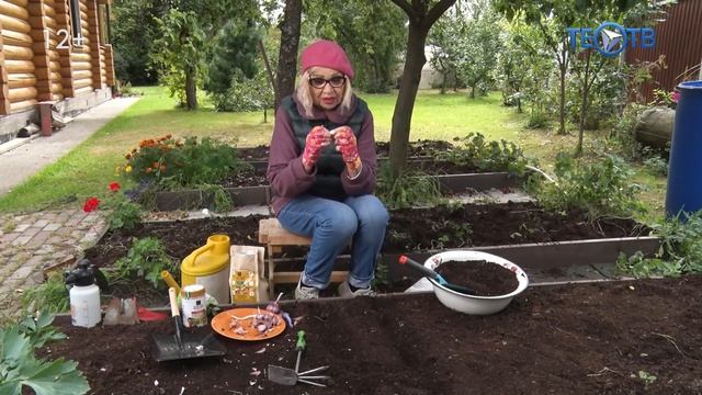 Озимый чеснок / ТЕО ТВ 12+ смотреть онлайн