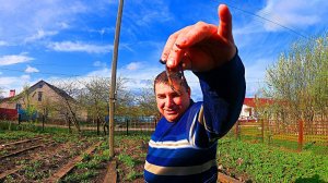 Уехали из большого города в село.Готовим огород к вспашке.