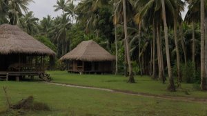 ASMR of nature at dawn Thailand village HQ-Audio part-2, realistic sound, Утренние Звуки природы тай