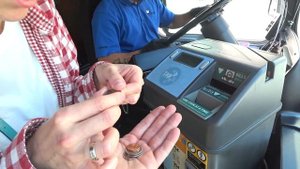 Что посмотреть в Лос-Анджелесе. Калифорния влог.