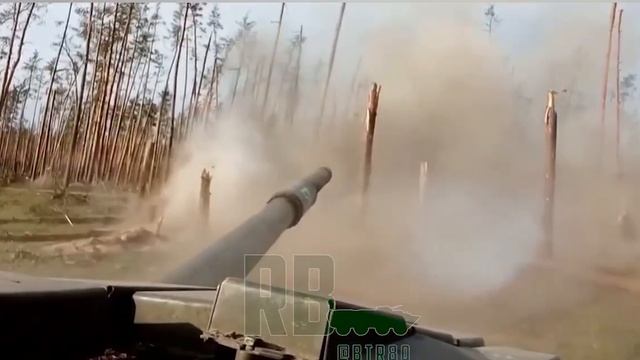 Украинские позиции в Серебрянском лесничестве