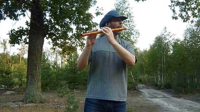 "Платан" (The Sycamore) - авторское произведение, исполненное на индийской басовой флейте bansuri-D смотреть онлайн