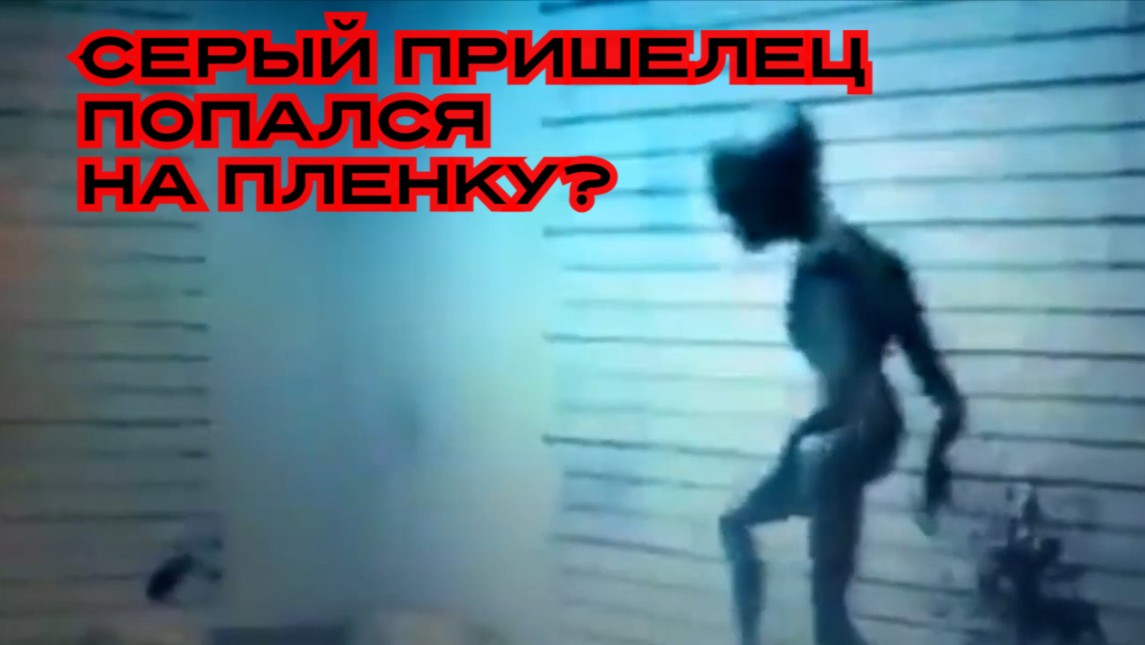 Серый пришелец попался на пленку?#инопланетяне#пришельцы#серые