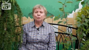 Совмещенные посадки ? Какие плодовые деревья и кустарники не стоит сажать рядом