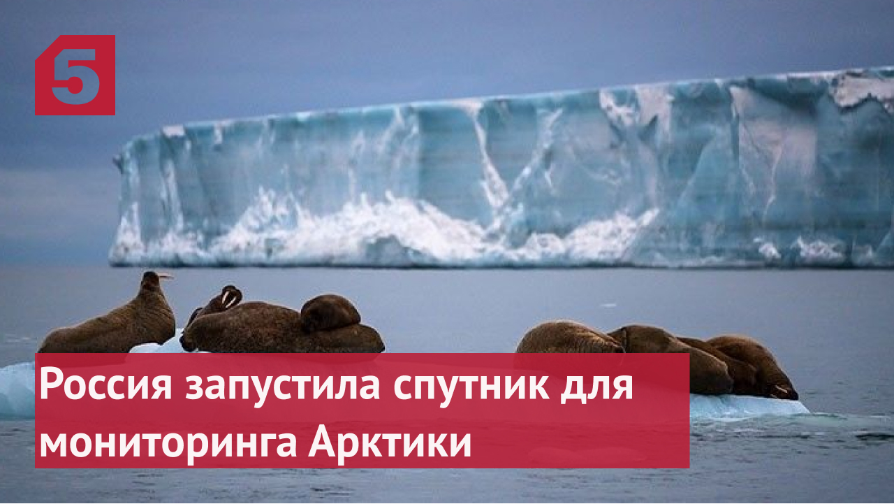 Россия запустила спутник для мониторинга Арктики
