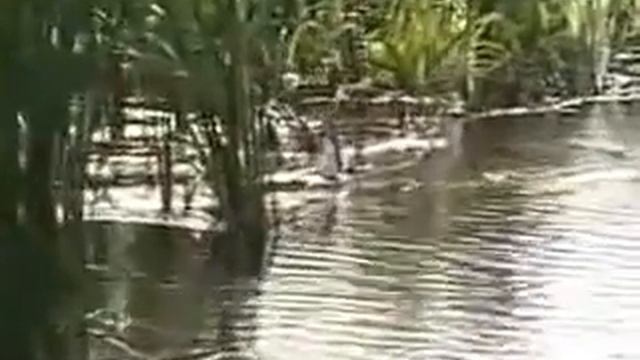 Ловля щуки на бутылку смотреть онлайн