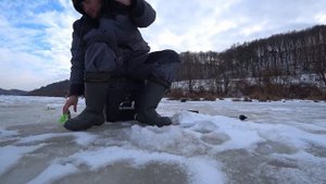 ловля окуня на Оке на "бомбу" и не только