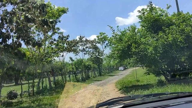 pony ranch смотреть онлайн