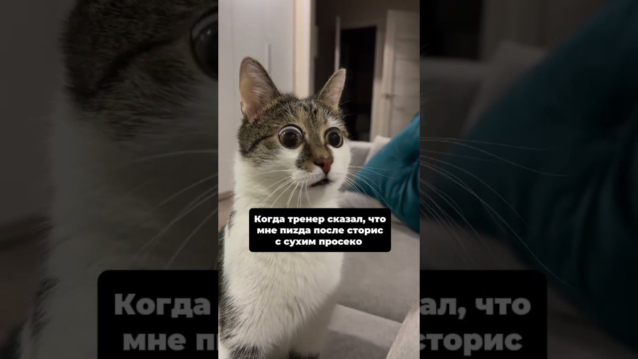 Да, со мной не забалуешь  #sports #спорт #мем #мемы #memes #юмор