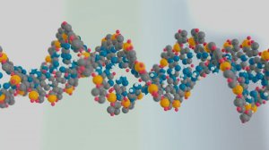 DNA. L-system.