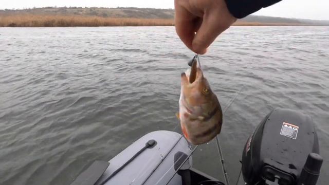 Крайняя рыбалка с сыном на окуня в 2022 году! смотреть онлайн