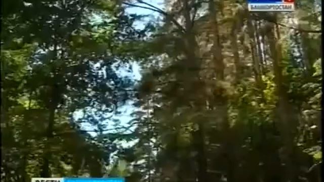 Жители республики смогут выбрать символ Башкортостана смотреть онлайн