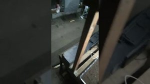 Посадка цинерарии, кальцеолярии к 8 марта, сроки.