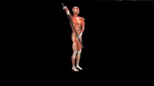 Растяжка подлопаточной мышцы с палкой Subscapularis Stretch Stick