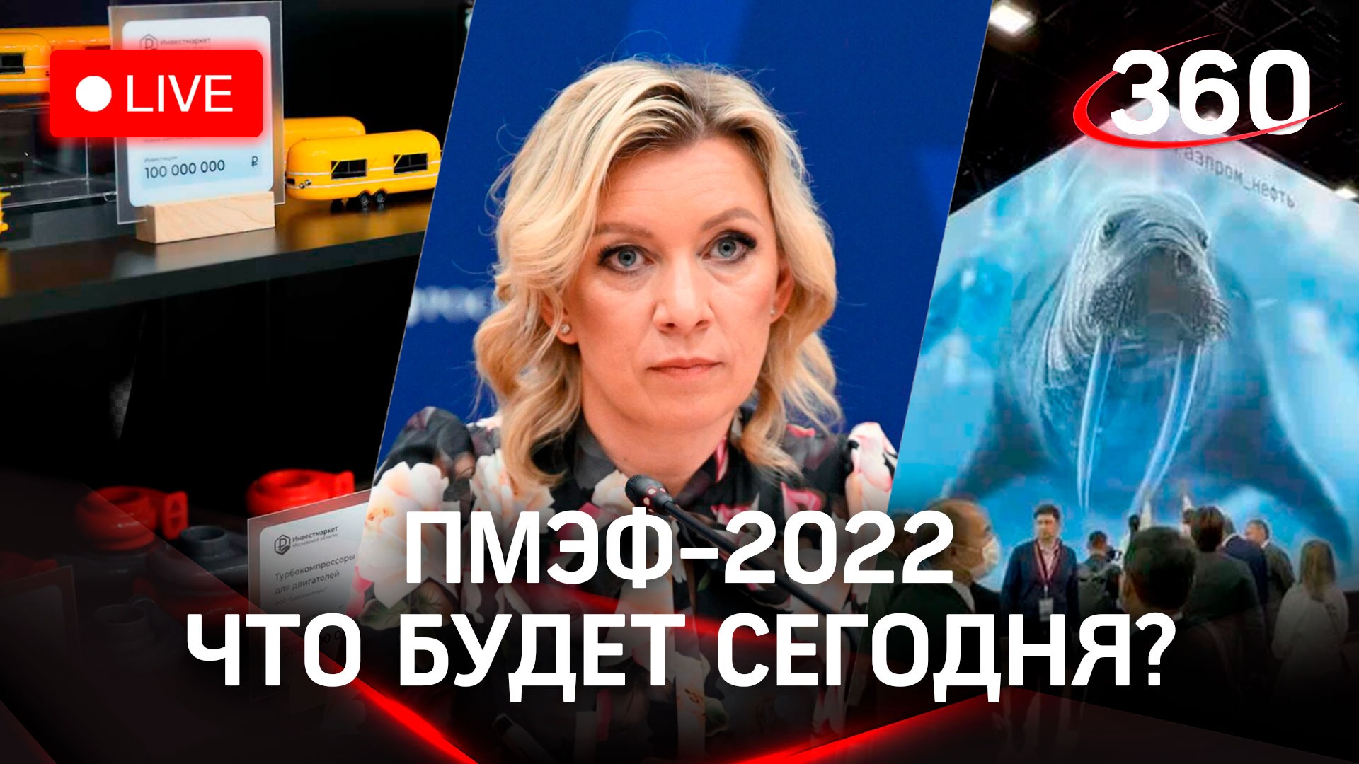 Инвестрмаркет Подмосковья, интервью Захаровой, бизнесмен Киркоров, айсберг и роботы  - ПМЭФ-2022