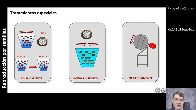 Tema 1. Multiplicación. Reproducción por semillas смотреть онлайн