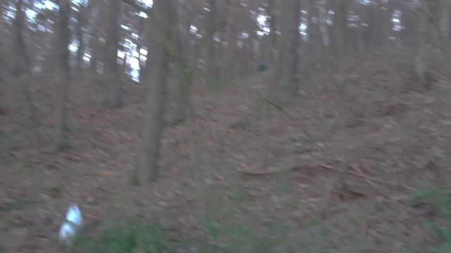 Cectek test na podjazdach 2 смотреть онлайн