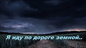 Я иду по дороге земной..