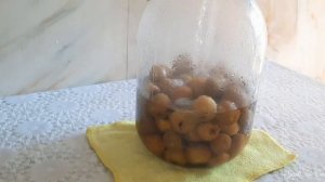 Վայրի տանձի կոմպոտ | Компот из диких груш | Wild pear juice