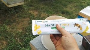 Китайские полоски от клеща Манхао