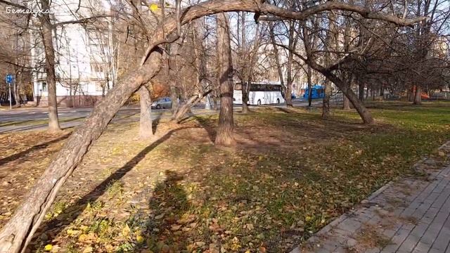 Влог. Приболела. На чём хайпится Любовь Казарновская...
