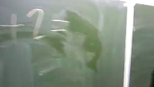 ответ на рекламу PEPSI MAX смотреть онлайн