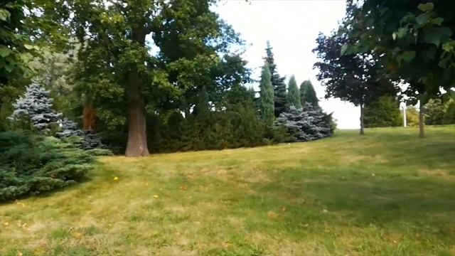 ДВОРЕЦ КОНГРЕССОВ В СТРЕЛЬНЕ смотреть онлайн