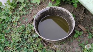 Как избавиться от Ос! Уменьшаем количество Ос на винограднике!