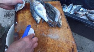 засолка 130 килограмм тарани сухим посолом за один раз ))) ? тарани много не бывает)))???