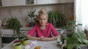 Стимулятор для семян своими руками