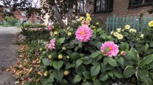 Пожелание от Путина.mp4