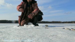 Рыбалка зимой ❄ Просто клюёт 👍 Fishing in the winter ❄ fish