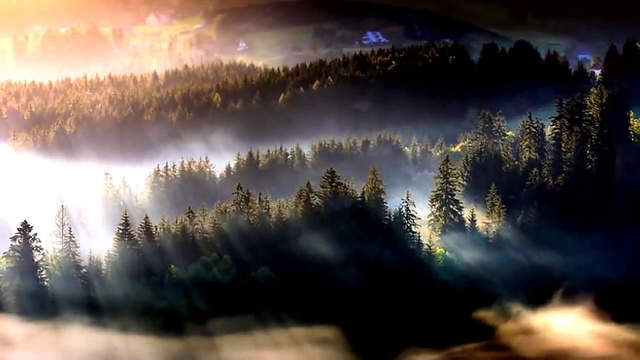 ОСЕННИЙ ПРОСТУДИВШИЙСЯ ТУМАН смотреть онлайн