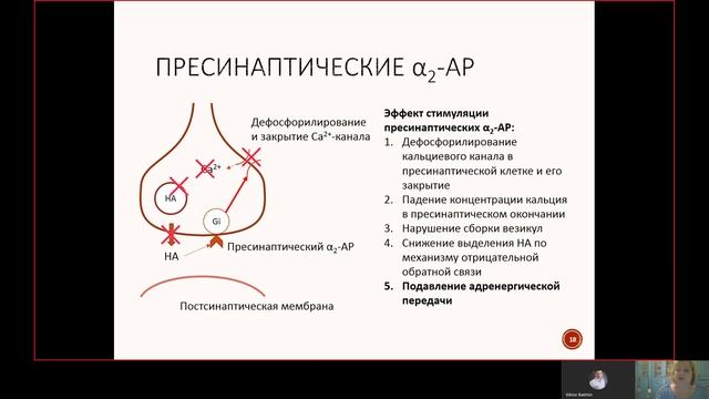 Механизм локализации