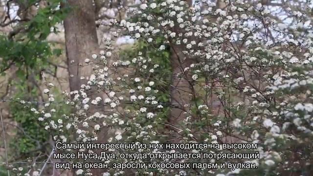 Топ 5 отелей-бунгало для пляжного отдыха