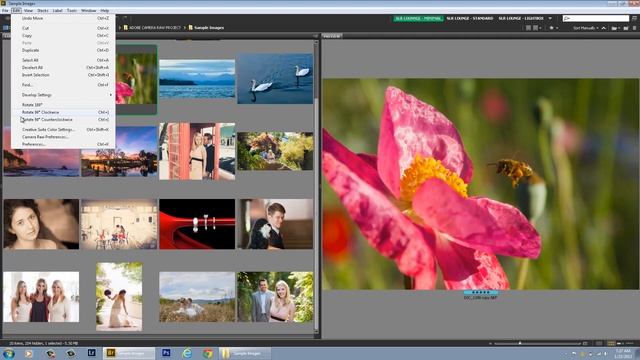 Top Five Tips for Maximizing Adobe Bridge CS6 and Adobe Camera Raw смотреть онлайн
