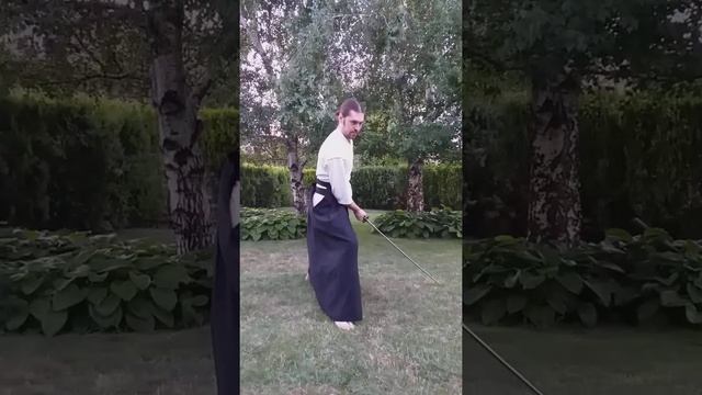 Shinbukan Serbia Kenjutsu - Iai no Kata - Basic Draw Cut - Side View