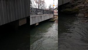 В одно окно смотрели двое... Мудрость через века Омар Хайям