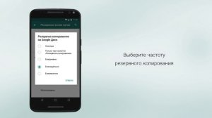 Как сделать резервную копию аккаунта WhatsApp на Android