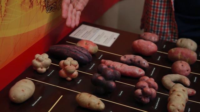 Беларусь Без Границ в Перу. Анонс смотреть онлайн