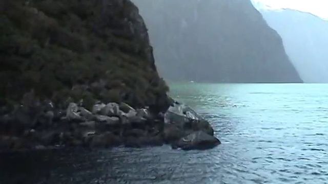 New Zealand: Milford Sound, Fiordland National Park