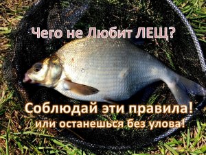 ЧЕГО не ЛЮБИТ ЛЕЩ? ( соблюдайте Эти Правила!!!)