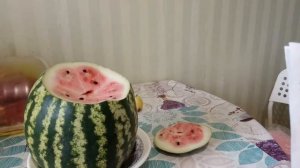 Получайте свой недозрелый арбуз обратно.