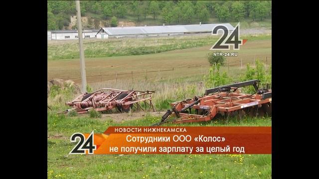 В Нижнекамском районе директор агрофирмы запугал смотреть онлайн