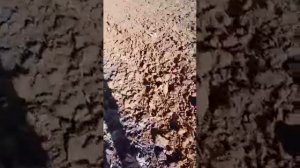 ПАХОТА НА ТРАКТОРЕ Т 25