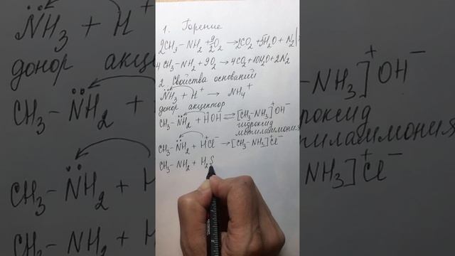 10 класс. Амины. Часть 2. Химические свойства. смотреть онлайн