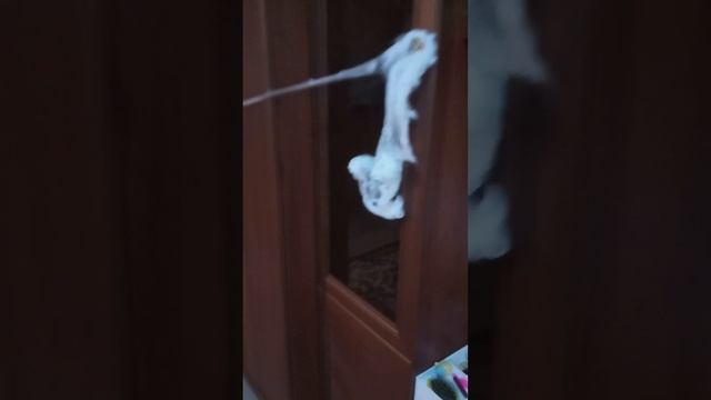 завтра в 12 :00 буду вызывать кого-нибудь духа??? смотреть онлайн